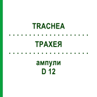 ТРАХЕЯ (TRACHEA) D 12 ампулы 10x1 мл - Гомеопатия WALA HEILMITTEL