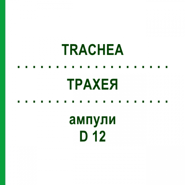 ТРАХЕЯ (TRACHEA) D 12 ампули 10x1 мл - Гомеопатія WALA HEILMITTEL