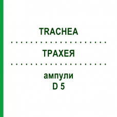 ТРАХЕЯ (TRACHEA) D 5 ампули 10x1 мл - Гомеопатія WALA HEILMITTEL