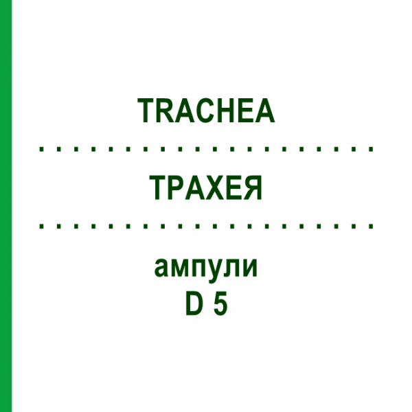 ТРАХЕЯ (TRACHEA) D 5 ампулы 10x1 мл - Гомеопатия WALA HEILMITTEL