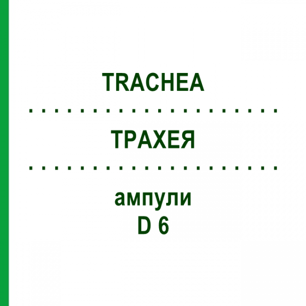 ТРАХЕЯ (TRACHEA) D 6 ампули 10x1 мл - Гомеопатія WALA HEILMITTEL