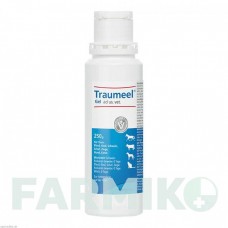 ТРАУМЕЛЬ (TRAUMEEL) гель 1x250 г - Гомеопатія BIOLOGISCHE HEILMITTEL HEEL