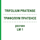 ТРИФОЛИУМ ПРАТЕНСЕ (TRIFOLIUM PRATENSE) LM 1 раствор 10 мл - Гомеопатия ARCANA DR.SEWERIN