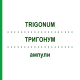 ТРИГОНУМ (TRIGONUM) ампулы 10x1 мл - Гомеопатия WALA HEILMITTEL