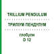 ТРИЛЛИУМ ПЕНДУЛУМ (TRILLIUM PENDULUM) D 12 глобули 10 г - Гомеопатия DHU