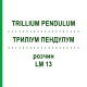 ТРИЛЛИУМ ПЕНДУЛУМ (TRILLIUM PENDULUM) LM 13 раствор 10 мл - Гомеопатия ARCANA DR.SEWERIN