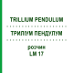 ТРИЛЛИУМ ПЕНДУЛУМ (TRILLIUM PENDULUM) LM 17 раствор 10 мл - Гомеопатия ARCANA DR.SEWERIN
