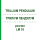ТРИЛЛИУМ ПЕНДУЛУМ (TRILLIUM PENDULUM) LM 18 раствор 10 мл - Гомеопатия ARCANA DR.SEWERIN