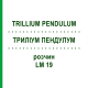 ТРИЛЛИУМ ПЕНДУЛУМ (TRILLIUM PENDULUM) LM 19 раствор 10 мл - Гомеопатия ARCANA DR.SEWERIN