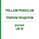 ТРИЛЛИУМ ПЕНДУЛУМ (TRILLIUM PENDULUM) LM 30 раствор 10 мл - Гомеопатия ARCANA DR.SEWERIN