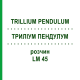 ТРИЛЛИУМ ПЕНДУЛУМ (TRILLIUM PENDULUM) LM 45 раствор 10 мл - Гомеопатия ARCANA DR.SEWERIN