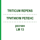 ТРИТИКУМ РЕПЕНС (TRITICUM REPENS) LM 13 раствор 10 мл - Гомеопатия ARCANA DR.SEWERIN
