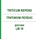 ТРИТИКУМ РЕПЕНС (TRITICUM REPENS) LM 19 раствор 10 мл - Гомеопатия ARCANA DR.SEWERIN