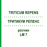 ТРИТИКУМ РЕПЕНС (TRITICUM REPENS) LM 7 раствор 10 мл - Гомеопатия ARCANA DR.SEWERIN