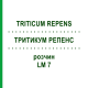 ТРИТИКУМ РЕПЕНС (TRITICUM REPENS) LM 7 раствор 10 мл - Гомеопатия ARCANA DR.SEWERIN