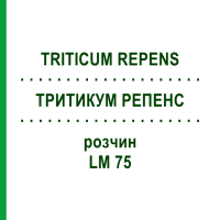 ТРИТИКУМ РЕПЕНС (TRITICUM REPENS) LM 75 раствор 10 мл - Гомеопатия ARCANA DR.SEWERIN