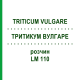 ТРИТИКУМ ВУЛГАРЕ (TRITICUM VULGARE) LM 110 розчин 10 мл - Гомеопатія ARCANA DR.SEWERIN