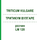 ТРИТИКУМ ВУЛГАРЕ (TRITICUM VULGARE) LM 120 розчин 10 мл - Гомеопатія ARCANA DR.SEWERIN