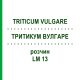 ТРИТИКУМ ВУЛГАРЕ (TRITICUM VULGARE) LM 13 розчин 10 мл - Гомеопатія ARCANA DR.SEWERIN