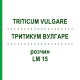 ТРИТИКУМ ВУЛГАРЕ (TRITICUM VULGARE) LM 15 розчин 10 мл - Гомеопатія ARCANA DR.SEWERIN