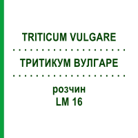ТРИТИКУМ ВУЛГАРЕ (TRITICUM VULGARE) LM 16 раствор 10 мл - Гомеопатия ARCANA DR.SEWERIN