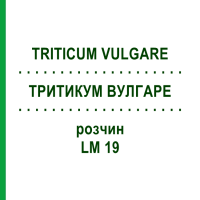 ТРИТИКУМ ВУЛГАРЕ (TRITICUM VULGARE) LM 19 раствор 10 мл - Гомеопатия ARCANA DR.SEWERIN