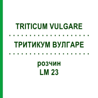 ТРИТИКУМ ВУЛГАРЕ (TRITICUM VULGARE) LM 23 раствор 10 мл - Гомеопатия ARCANA DR.SEWERIN