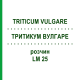 ТРИТИКУМ ВУЛГАРЕ (TRITICUM VULGARE) LM 25 розчин 10 мл - Гомеопатія ARCANA DR.SEWERIN