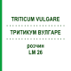 ТРИТИКУМ ВУЛГАРЕ (TRITICUM VULGARE) LM 26 розчин 10 мл - Гомеопатія ARCANA DR.SEWERIN