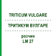 ТРИТИКУМ ВУЛГАРЕ (TRITICUM VULGARE) LM 27 розчин 10 мл - Гомеопатія ARCANA DR.SEWERIN