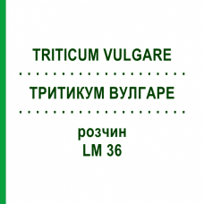 ТРИТИКУМ ВУЛГАРЕ (TRITICUM VULGARE) LM 36 раствор 10 мл - Гомеопатия ARCANA DR.SEWERIN