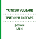 ТРИТИКУМ ВУЛГАРЕ (TRITICUM VULGARE) LM 4 розчин 10 мл - Гомеопатія ARCANA DR.SEWERIN