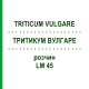 ТРИТИКУМ ВУЛГАРЕ (TRITICUM VULGARE) LM 45 розчин 10 мл - Гомеопатія ARCANA DR.SEWERIN