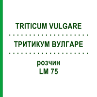 ТРИТИКУМ ВУЛГАРЕ (TRITICUM VULGARE) LM 75 раствор 10 мл - Гомеопатия ARCANA DR.SEWERIN