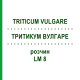 ТРИТИКУМ ВУЛГАРЕ (TRITICUM VULGARE) LM 8 розчин 10 мл - Гомеопатія ARCANA DR.SEWERIN
