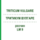 ТРИТИКУМ ВУЛГАРЕ (TRITICUM VULGARE) LM 9 розчин 10 мл - Гомеопатія ARCANA DR.SEWERIN