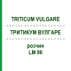 ТРИТИКУМ ВУЛГАРЕ (TRITICUM VULGARE) LM 90 розчин 10 мл - Гомеопатія ARCANA DR.SEWERIN