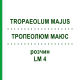 ТРОПЕОЛЮМ МАЮС (TROPAEOLUM MAJUS) LM 4 раствор 10 мл - Гомеопатия ARCANA DR.SEWERIN