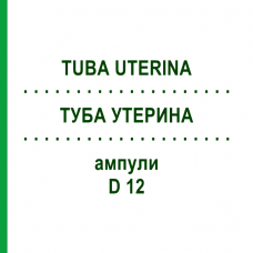 ТУБА УТЕРИНА (TUBA UTERINA) D 12 ампулы 10x1 мл - Гомеопатия WALA HEILMITTEL