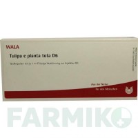 ТУЛІПА (TULIPA) D 6 ампули 10x1 мл - Гомеопатія WALA HEILMITTEL