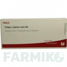 ТУЛИПА (TULIPA) D 6 ампулы 10x1 мл - Гомеопатия WALA HEILMITTEL