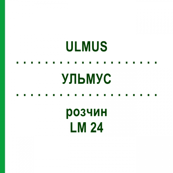 УЛЬМУС (ULMUS) LM 24 раствор 10 мл - Гомеопатия ARCANA DR.SEWERIN