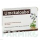 УМКАЛОАБО (UMCKALOABO) 20 мг таблетки 60 шт - Корень пеларгонии DR.WILLMAR SCHWABE