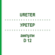 УРЕТЕР (URETER) D 12 ампули 10x1 мл - Гомеопатія WALA HEILMITTEL