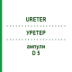 УРЕТЕР (URETER) D 5 ампули 10x1 мл - Гомеопатія WALA HEILMITTEL