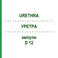 УРЕТРА (URETHRA) D 12 ампули 10x1 мл - Гомеопатія WALA HEILMITTEL