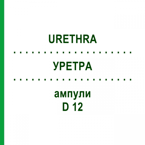УРЕТРА (URETHRA) D 12 ампулы 10x1 мл - Гомеопатия WALA HEILMITTEL