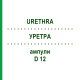 УРЕТРА (URETHRA) D 12 ампулы 10x1 мл - Гомеопатия WALA HEILMITTEL
