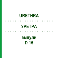 УРЕТРА (URETHRA) D 15 ампули 10x1 мл - Гомеопатія WALA HEILMITTEL