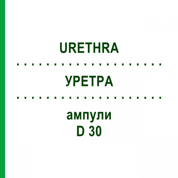 УРЕТРА (URETHRA) D 30 ампулы 10x1 мл - Гомеопатия WALA HEILMITTEL